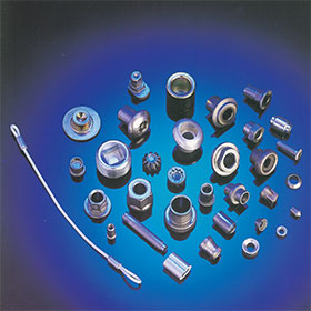 Nut and Cold Forged Parts